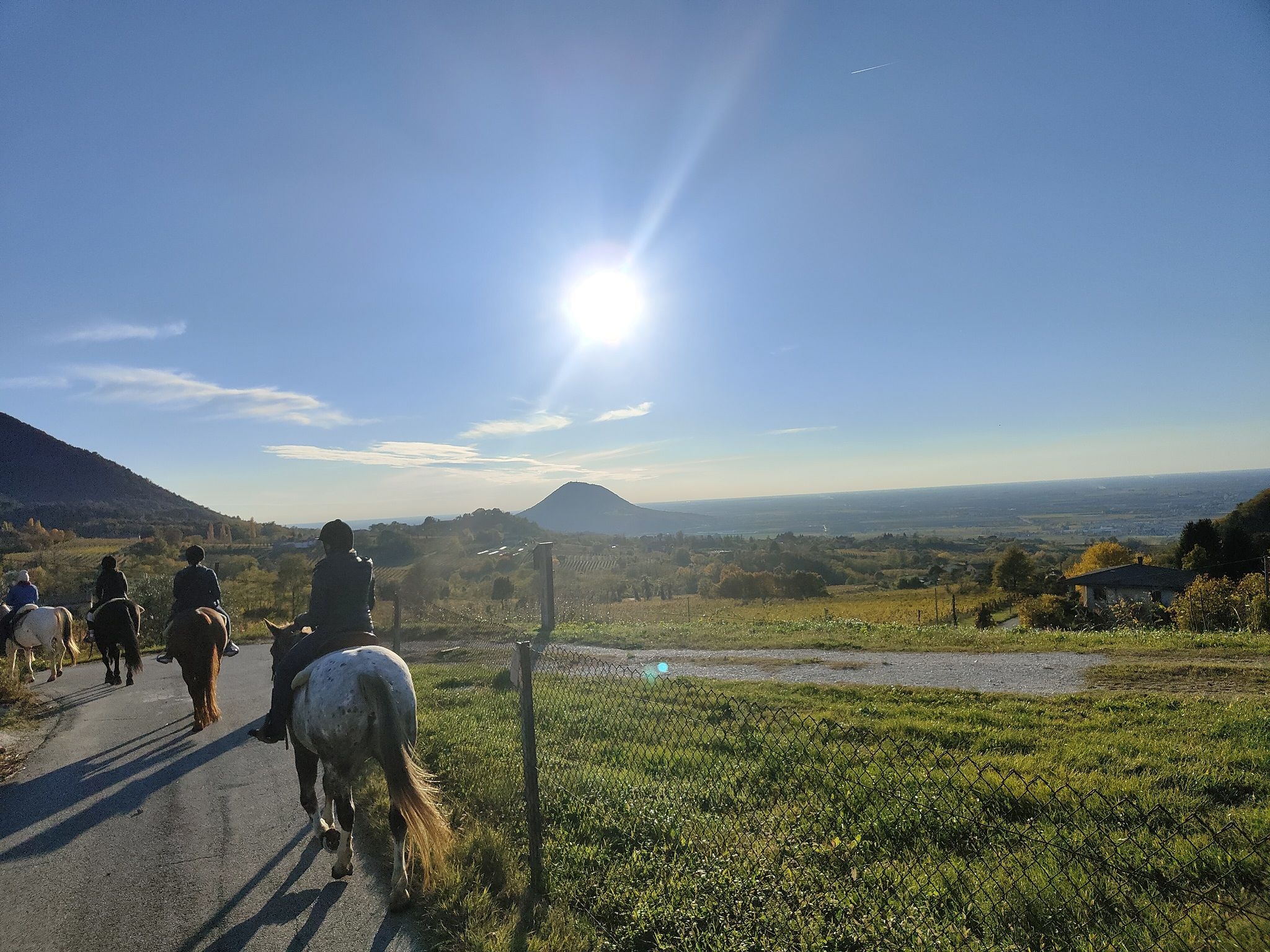 Blog Abano it | Passeggiate a cavallo