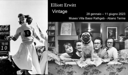 erwitt