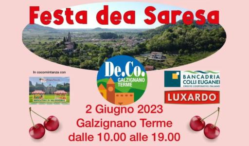 festa ciliegia