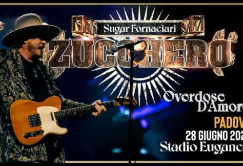 zucchero