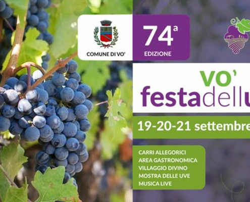 festa uva
