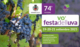 festa uva