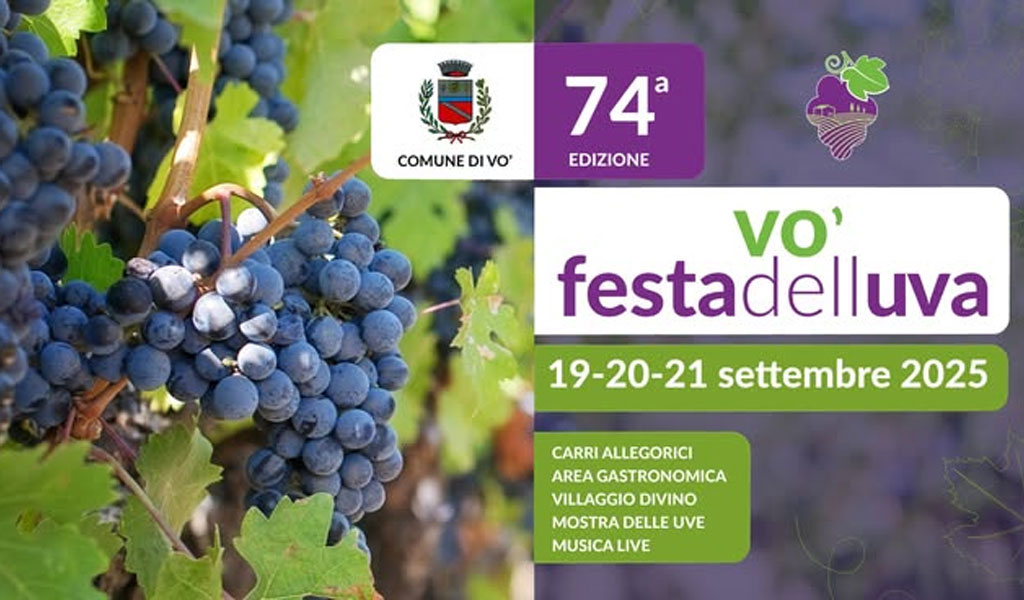 festa uva