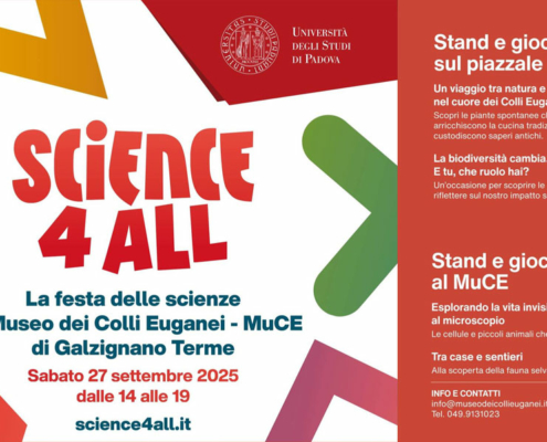 muce