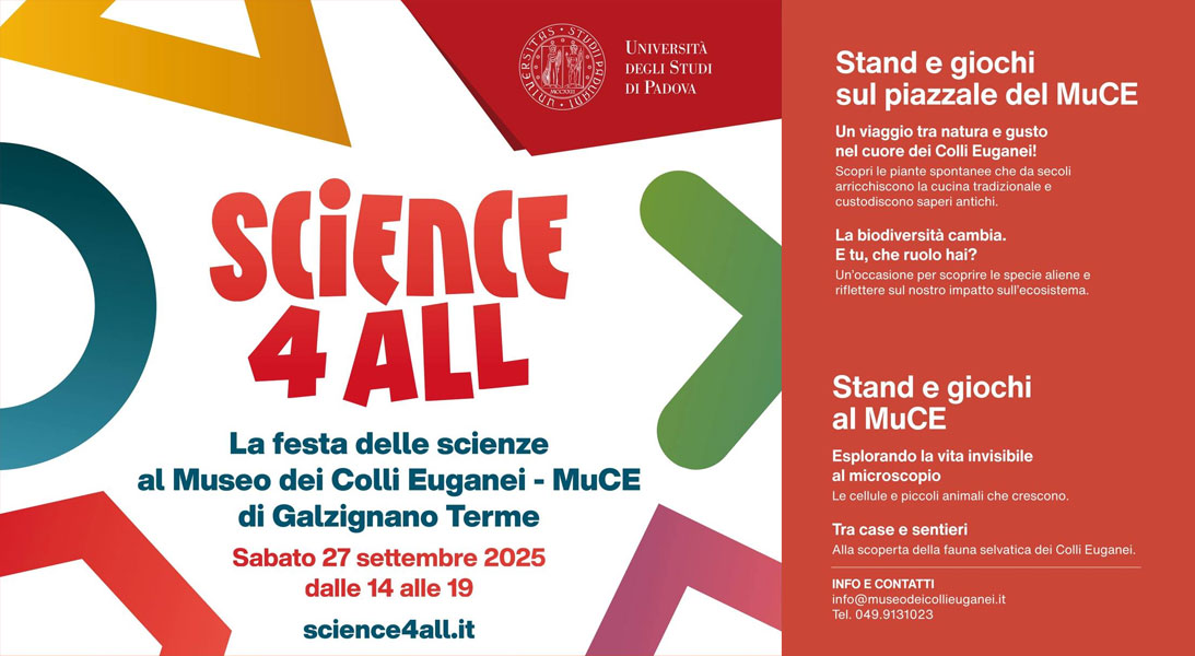 muce