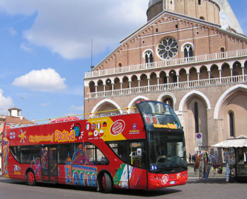 bus