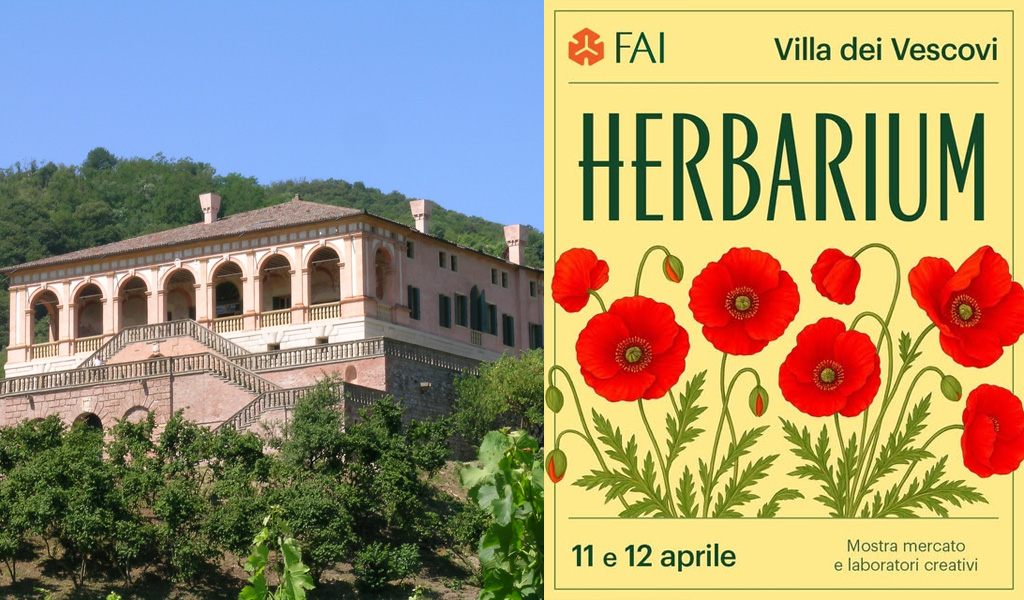 herbarium
