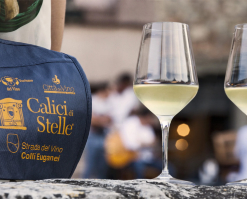 calicidistelle