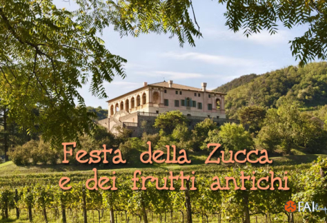 zucca