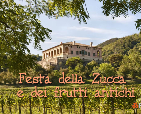 zucca