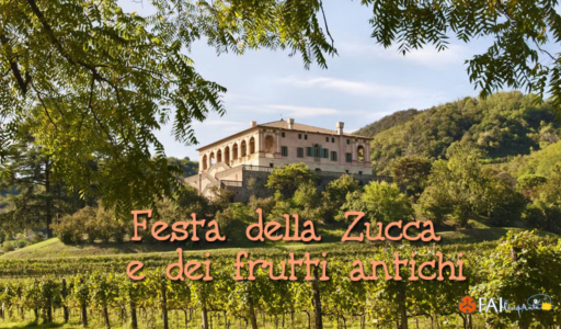 zucca